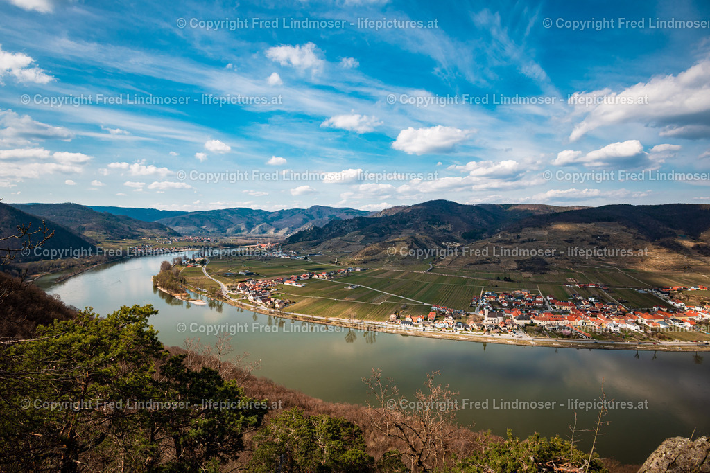 Wachau Marillenbluete 22032023-7548 | Fotos und Fotoprodukte - Realisiert mit Pictrs.com