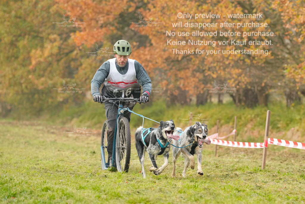 Visbeck_Sa_DS2DR2-102 | stephaniefillaphotographie - Realisiert mit Pictrs.com