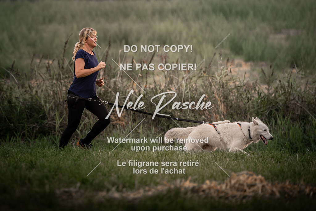 nelerasche_slaw24Fr1_14 | nelerasche