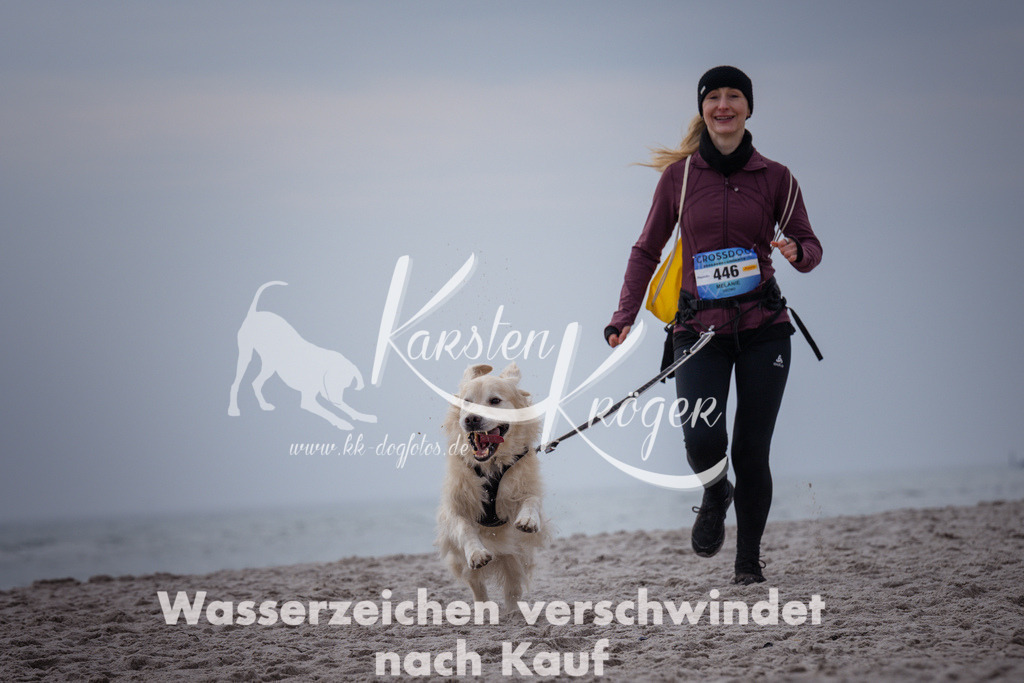 1153_ZZ91236 | kk-dogfotos