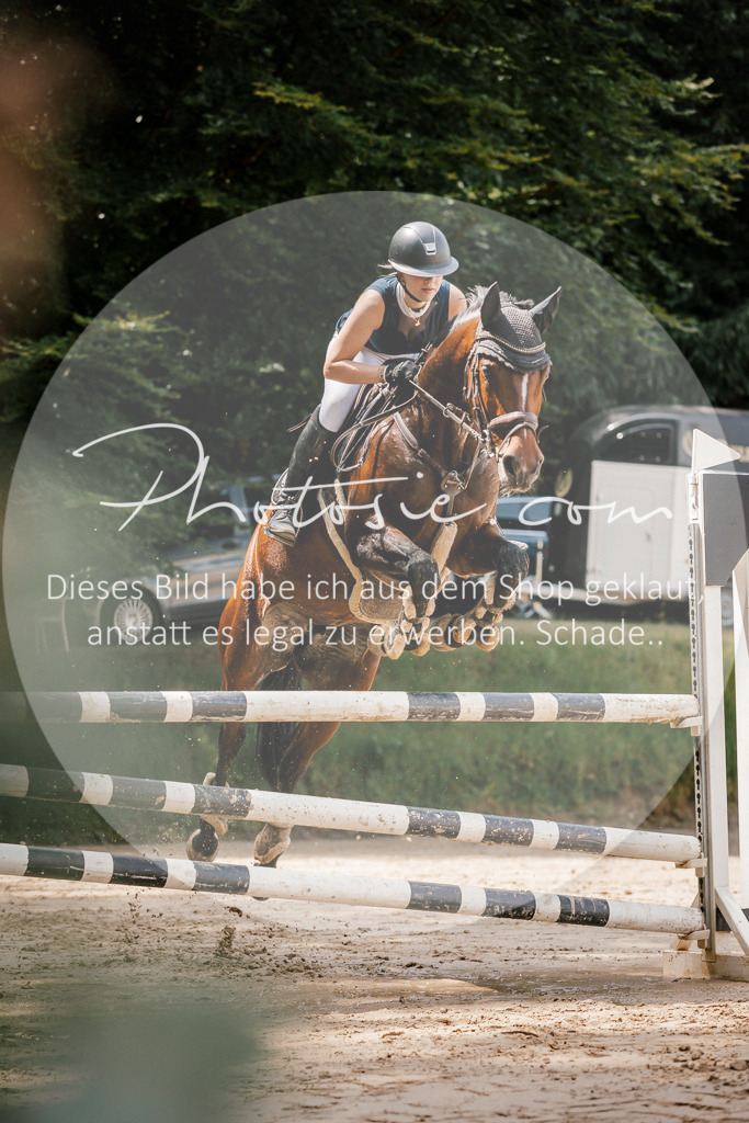 3I6A7894 | Stimmungsvolle Portraits und Reitsportfotografie im Ruhrgebiet und im Münsterland.

Pferdefotografie, Hundefotografie, Tierfotografie, Reportagen, Portraits von Tier und Mensch, Turnierfotografie in Bochum, Recklinghausen, Marl, Haltern am See, Dülmen.. - Realisiert mit Pictrs.com