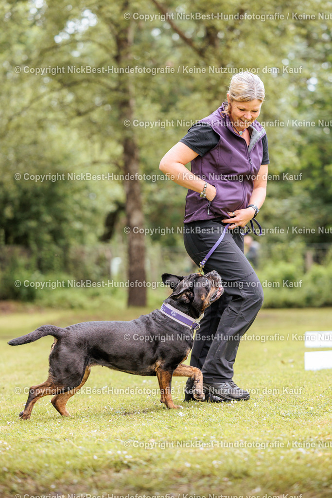 RO-Blumenthal-2026-Nickbest-Hundefotografie-1750 | Dein Hund! Dein Moment! Deine Erinnerungen! Hundefotografie in Bremen Blumenthal. Ich fange die besonderen Momente deines Vierbeiners ein – ob Indoor mit Blitzanlage oder in der freien Natur. Sicher dir dein Moment und dein Termin für eure Erinnerungen.