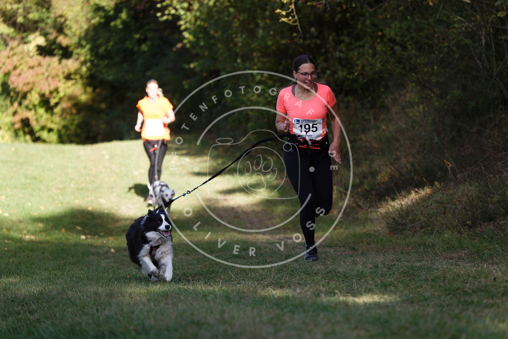 0L8A5713 | Hundefotografie, Tierfotograf, Pfotenfotografie, Fotoshooting Hund, Hunde Portrait, Hundesport, Hundeportraits, Heideshooting, Hunde, Sportfotograf, Hundefotograf, Turnierhundsport, THS,  - Realisiert mit Pictrs.com