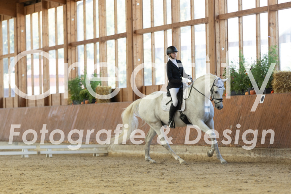 IMG_9761 | Creatify Fotografie