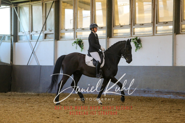 IMG_3319 | Turniersportfotografie; Pferdefotografie; Dressurfotografie