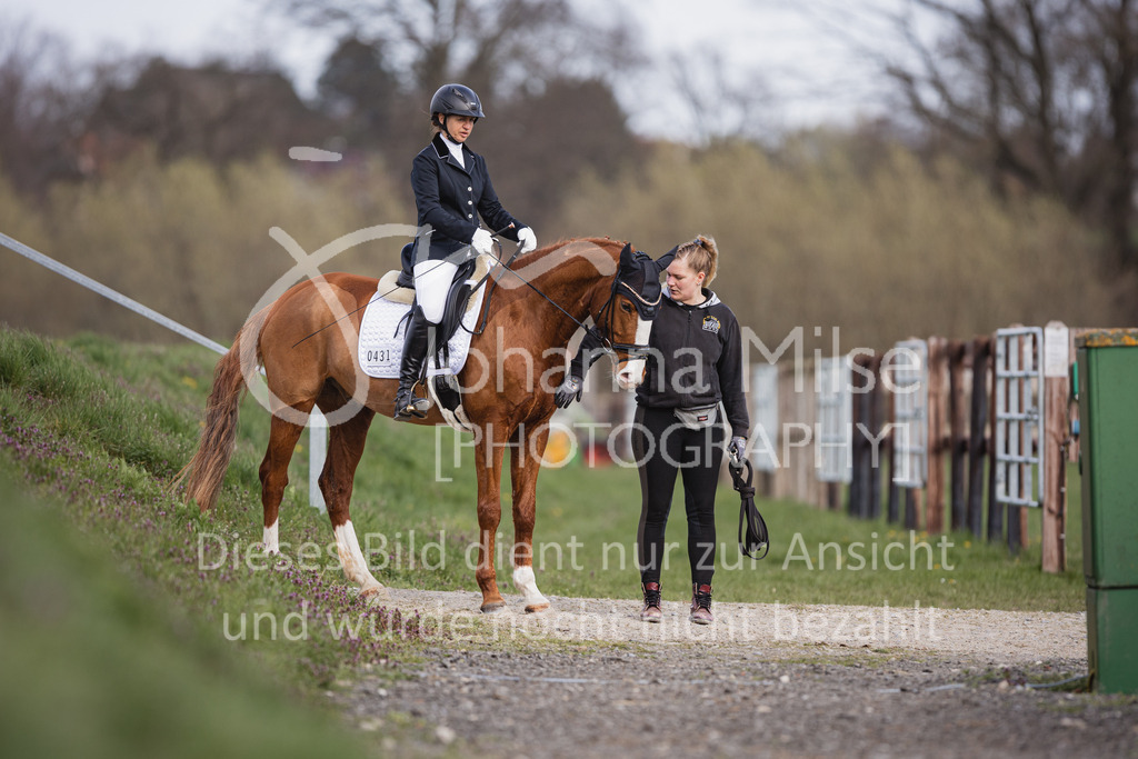 230410_Frühlingsfest_Dressurreiter-L_Impressionen-695 | Deine schönsten Turniermomente als professionelle Fotos! Entdecke hochwertige Pferdesport-Fotografie im Online-Shop. Jetzt Fotos finden & bestellen!