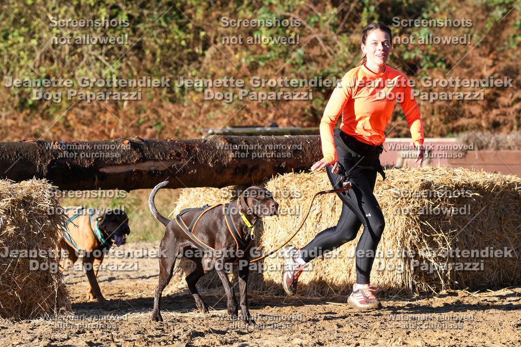 Dog Paparazzi - Strongdog 10-25-1190 | Dog Paparazzi Jeanette Grottendiek Fotografie & Videografie - Realisiert mit Pictrs.com