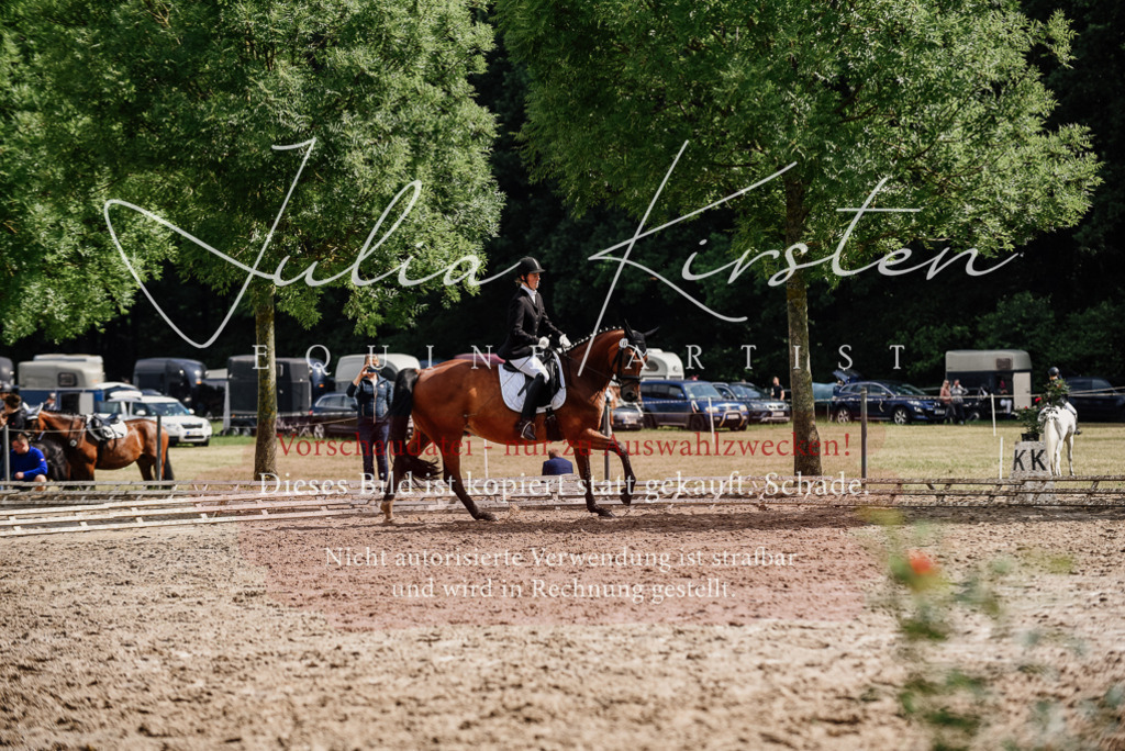 DSC_9786 | Pferde- und Turnierfotografie in Westsachsen. Pferdeportraits, Auftragszeichnungen und intuitive Kunst.
