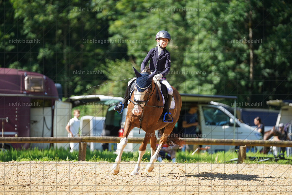 20240706-FAH04904 | Grafing Turnierfotos, Reitverein Ebersberg, Turnierfotografen Bayern, reitsportbilder, Pferdefotograf, reitsportfotograf, Sportbilder, Reitsportfotografie, Fotoagentur Herrmann, Turnierfotograf