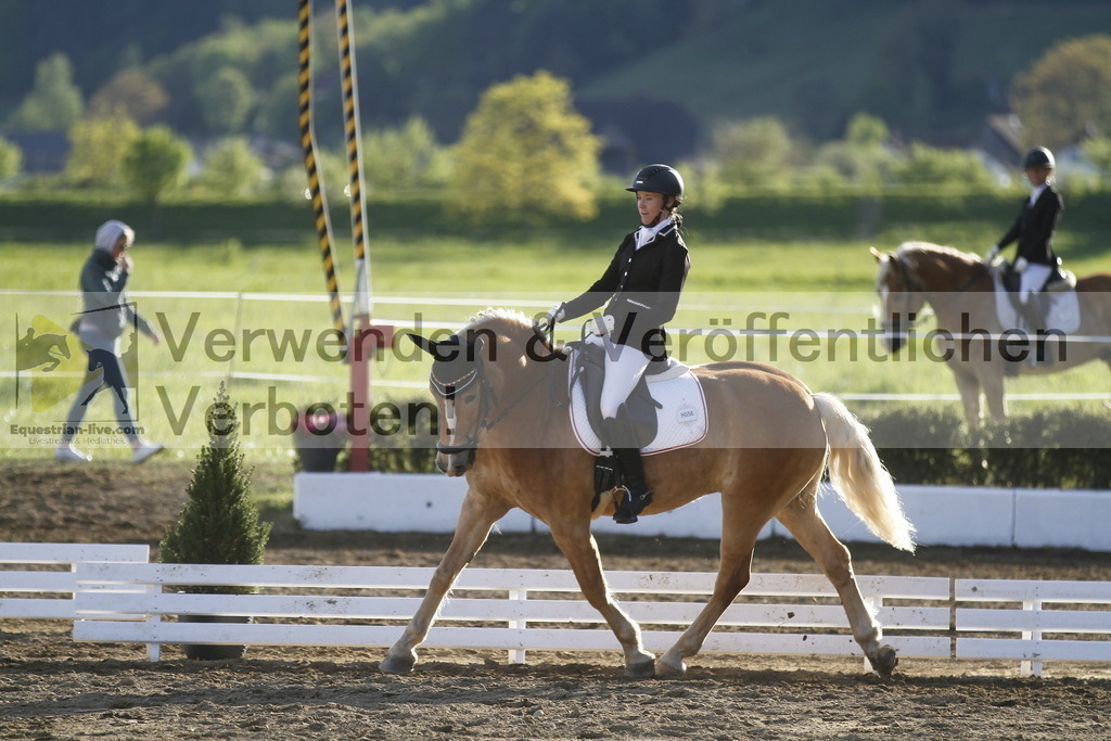 _MG_4386 | equestrian-live-com