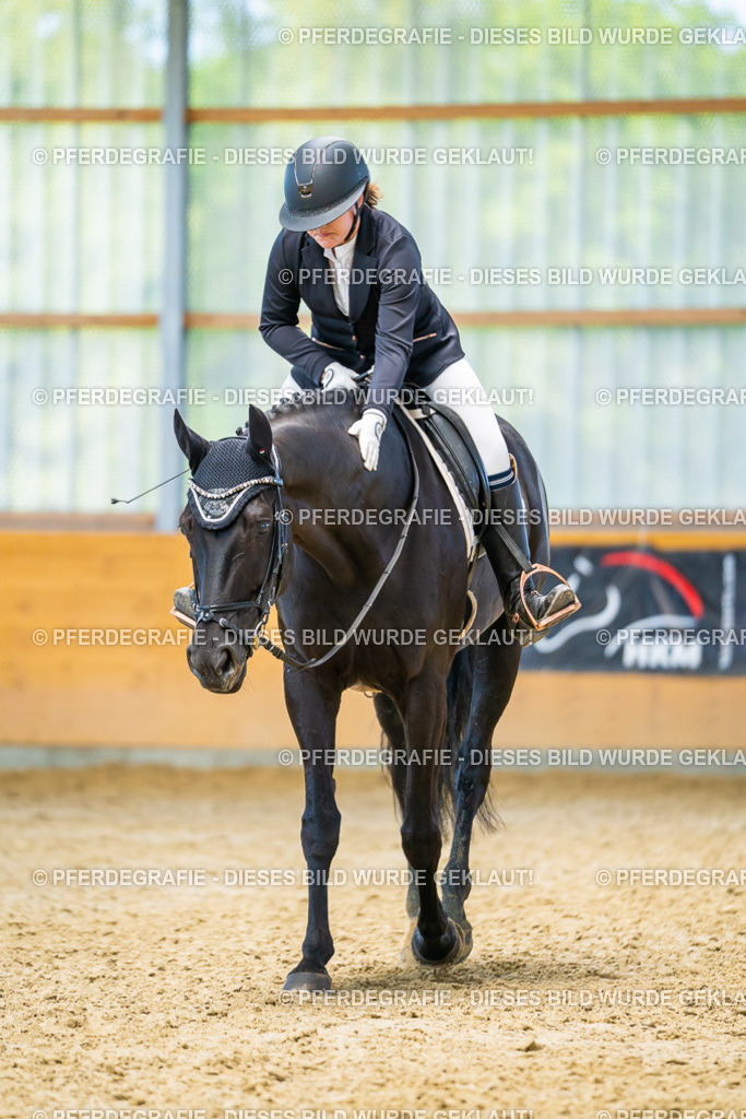 DSC08096 | Pferdegrafie