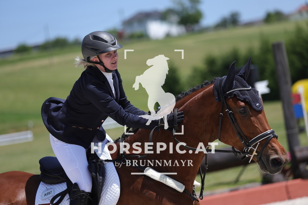 0P6A9267 | Willkommen bei Brunnmayr - Design & Fotografie – Ihrem Spezialisten für Reitturniere und Pferdeveranstaltungen in Oberösterreich, Salzburg und Bayern! Seit über 17 Jahren sind wir leidenschaftlich dabei.