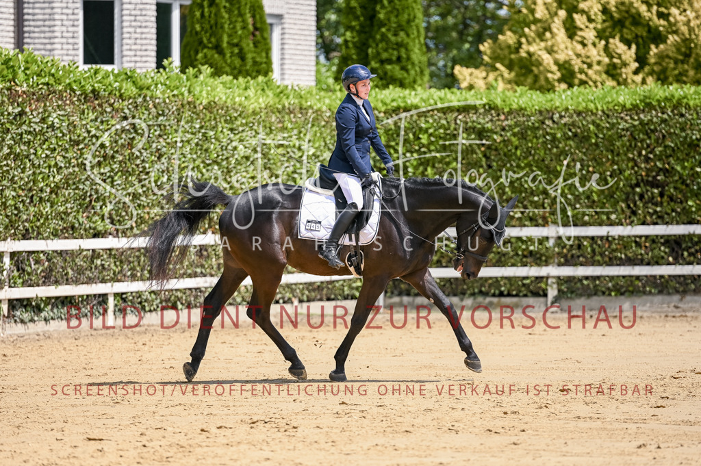 Schugtsche-Aluta25-48.Reitpferfdeprf.-237 | Schugtsche Fotografie - Realisiert mit Pictrs.com