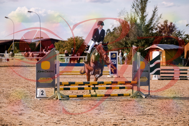 2026_10_03_Siefer-Hof_154116_Z81_57609826 | Professionelle Reitsport-, Turnier- und Eventfotografie von Robert Broda. Galerien mit ausgewählten und bearbeiteten Bildern direkt online ansehen und bestellen.