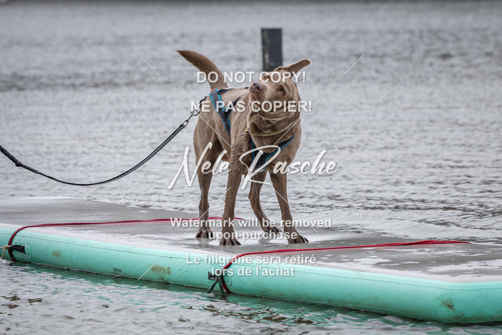 nelerasche_Hulsbeek_Sa1330-1430_358 | nelerasche