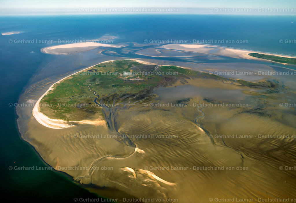 3091144 | Vogelschutzgebiet Memmert, Nationalpark Niedersächsisches Wattenmeer