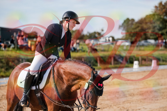 2026_10_03_Siefer-Hof_115842_Z63_32195475 | Professionelle Reitsport-, Turnier- und Eventfotografie von Robert Broda. Galerien mit ausgewählten und bearbeiteten Bildern direkt online ansehen und bestellen.