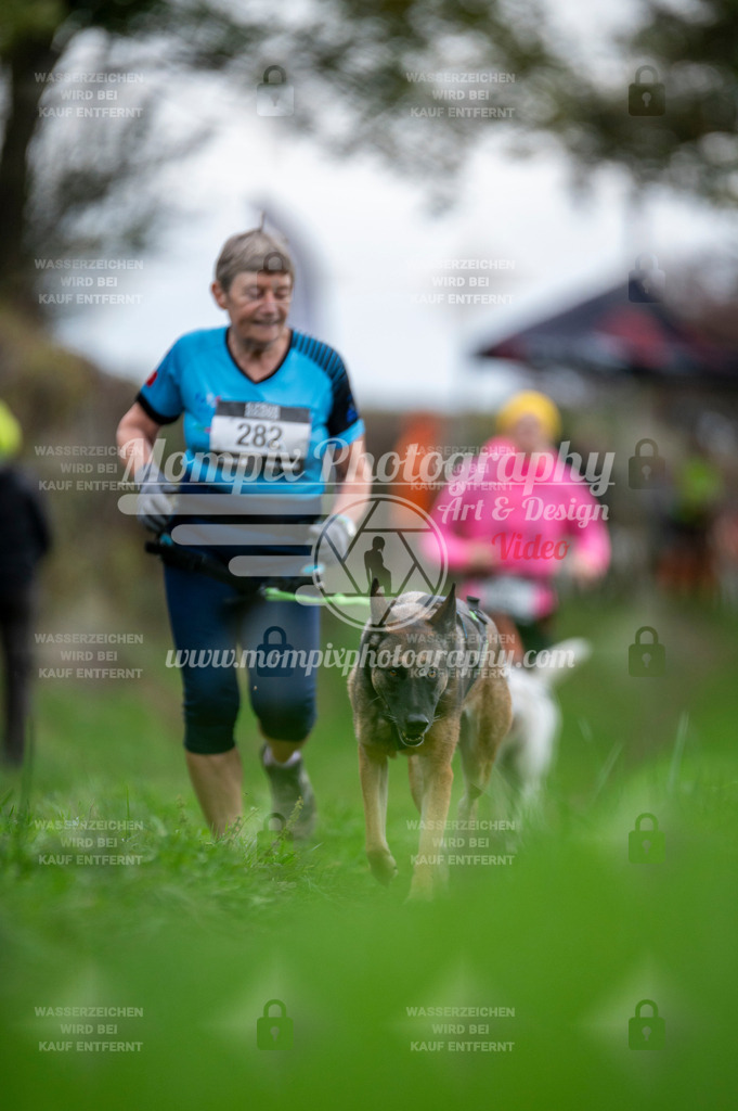 TSB_2023_E8_Canicross-1 | PayLife