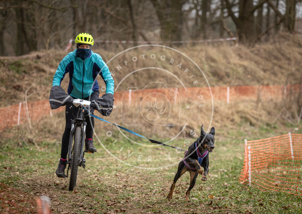 Pfotenfotografie_DV3A7002 | Hundefotografie, Tierfotograf, Pfotenfotografie, Fotoshooting Hund, Hunde Portrait, Hundesport, Hundeportraits, Heideshooting, Hunde, Sportfotograf, Hundefotograf, Turnierhundsport, THS,  - Realisiert mit Pictrs.com