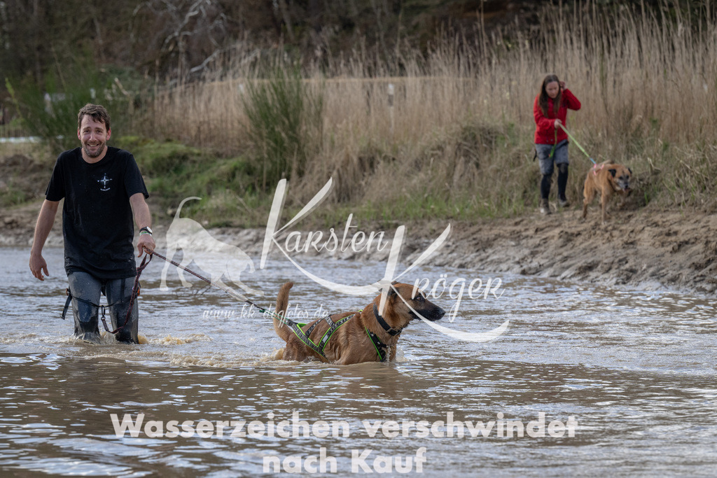 0958_ZZ92989 | kk-dogfotos