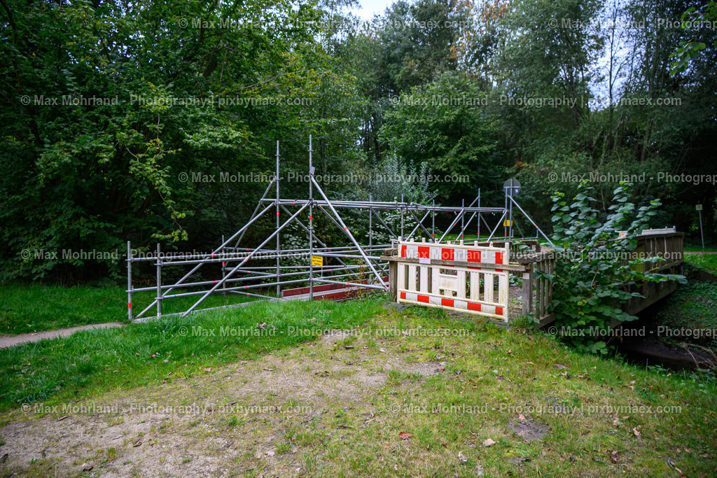 20250929-SUL_7137 | Max Mohrland - Photography - Realisiert mit Pictrs.com