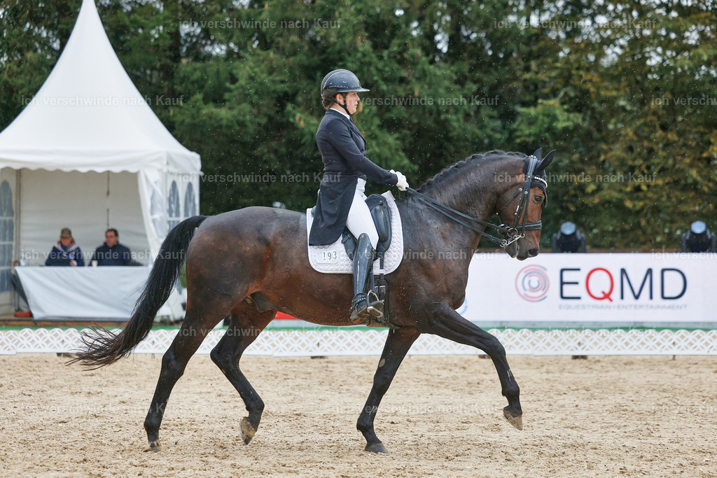 8_2-193-DRESSUR S_  -StoibPH-4507 | working equitationturnier fotograf videograf stoibphotography marixx film working equitation deutschland reitsport turnierfotografie eventfotografie equestrian events