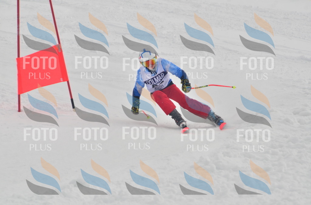 A5546 | holidayphoto