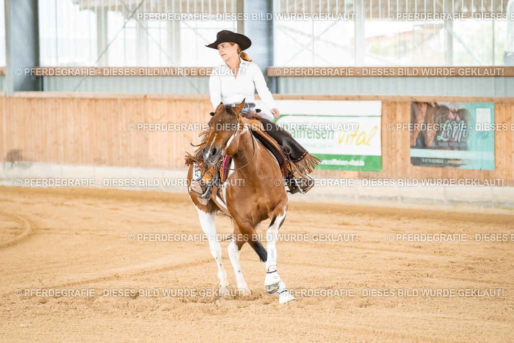 DSC01831 | Pferdegrafie