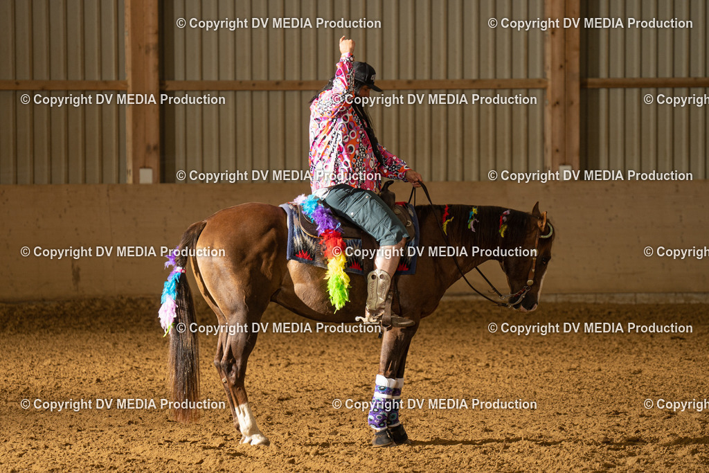 LAU01225 | dv-media-shop - Realisiert mit Pictrs.com