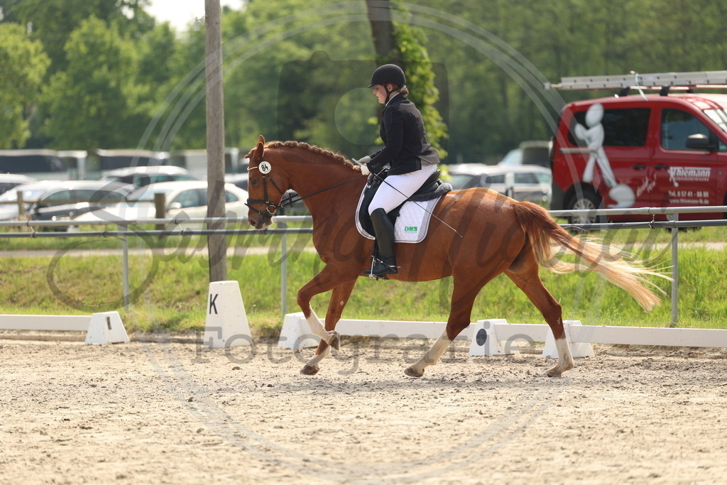 994A6515 | sabrinanicolaifotografie - Realisiert mit Pictrs.com