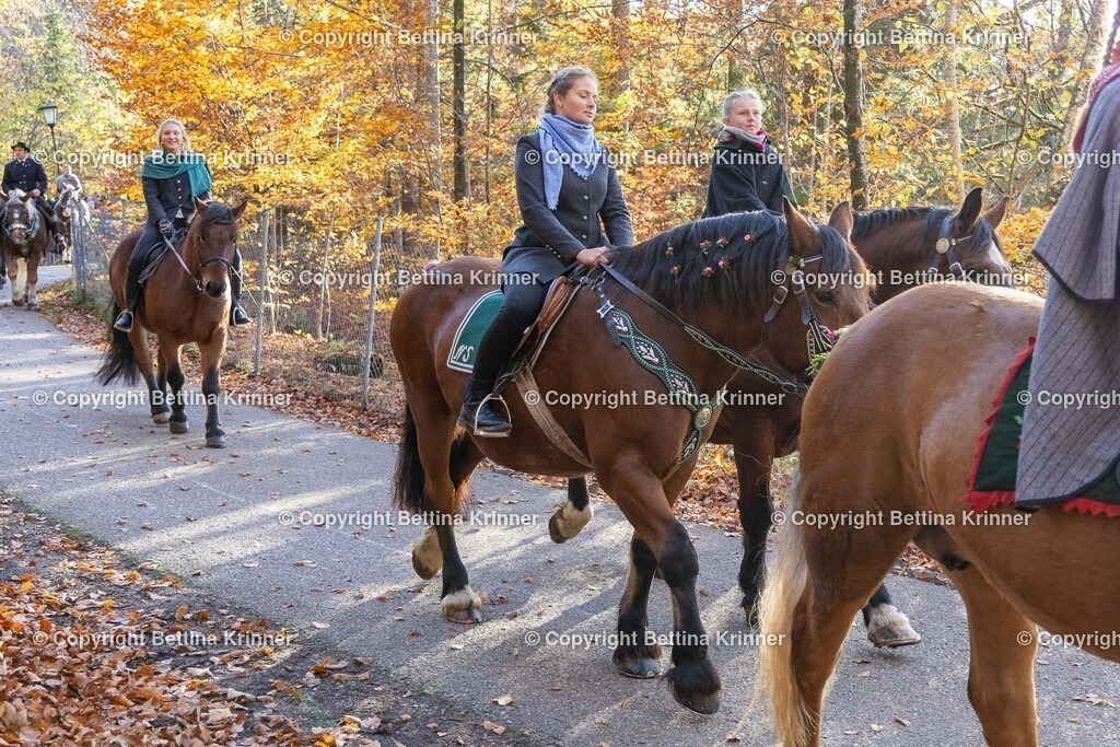 LL24-328 | foto-bettina-krinner - Realisiert mit Pictrs.com
