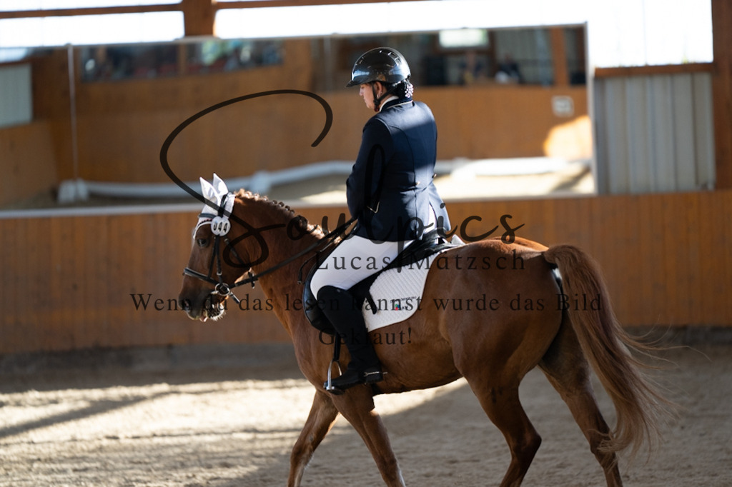 A7V01741 | Turnier/Reitfotograf