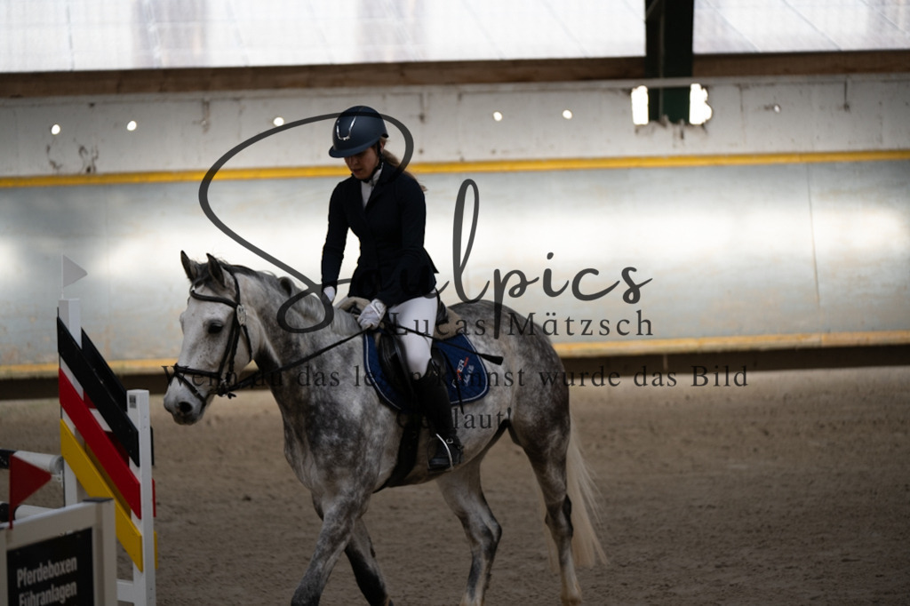 A7V02199 | Pferdefotograf