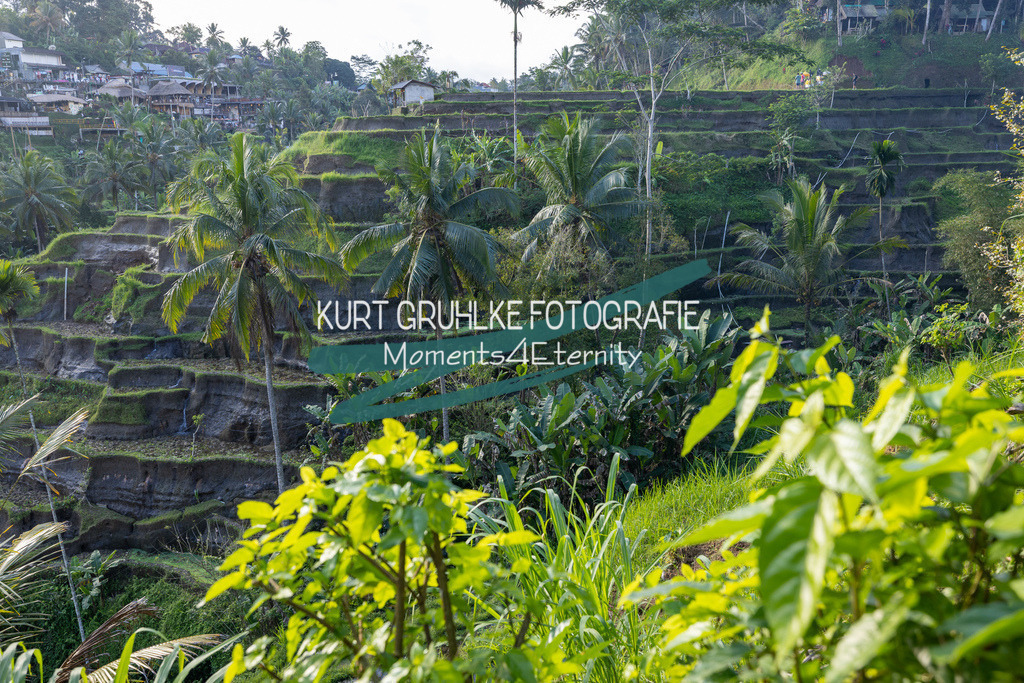 230720-1329 - Kopie | onlinegalerie und Fotoshop Kurt Gruhlke Fotograf Berlin
Hochzeitsfotograf Eventfotograf Portraitfotografie
 - Realisiert mit Pictrs.com