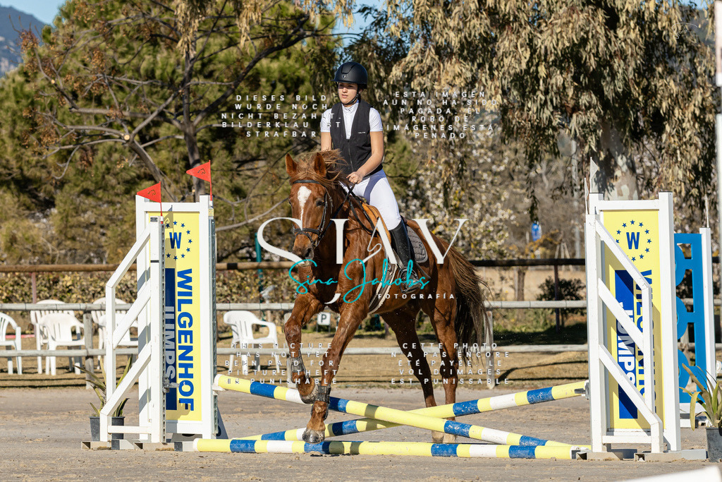 IMG_7903 | s-jay-photography - Realisiert mit Pictrs.com