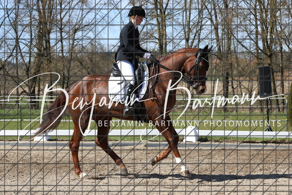 AZ2A4672 | Benjamin Bartmann Photomoments