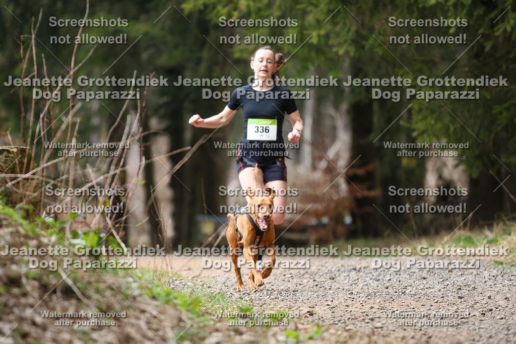 Dog Paparazzi - VCC26-491 | Dog Paparazzi Jeanette Grottendiek Fotografie & Videografie - Realisiert mit Pictrs.com