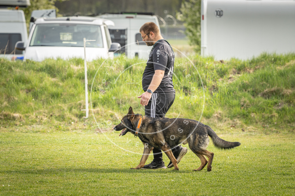 Pfotenfotografie_DV3A5020 | Hundefotografie, Tierfotograf, Pfotenfotografie, Fotoshooting Hund, Hunde Portrait, Hundesport, Hundeportraits, Heideshooting, Hunde, Sportfotograf, Hundefotograf, Turnierhundsport, THS,  - Realisiert mit Pictrs.com