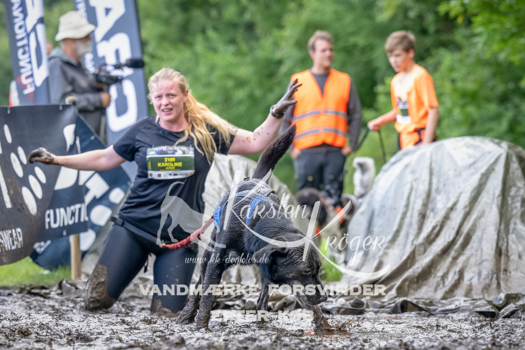 1153_ZZ90076-Bearbeitet | kk-dogfotos