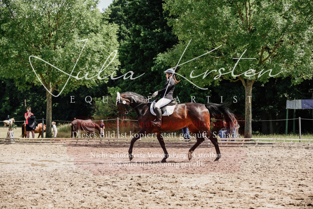 DSC_1047 | Pferde- und Turnierfotografie in Westsachsen. Pferdeportraits, Auftragszeichnungen und intuitive Kunst.