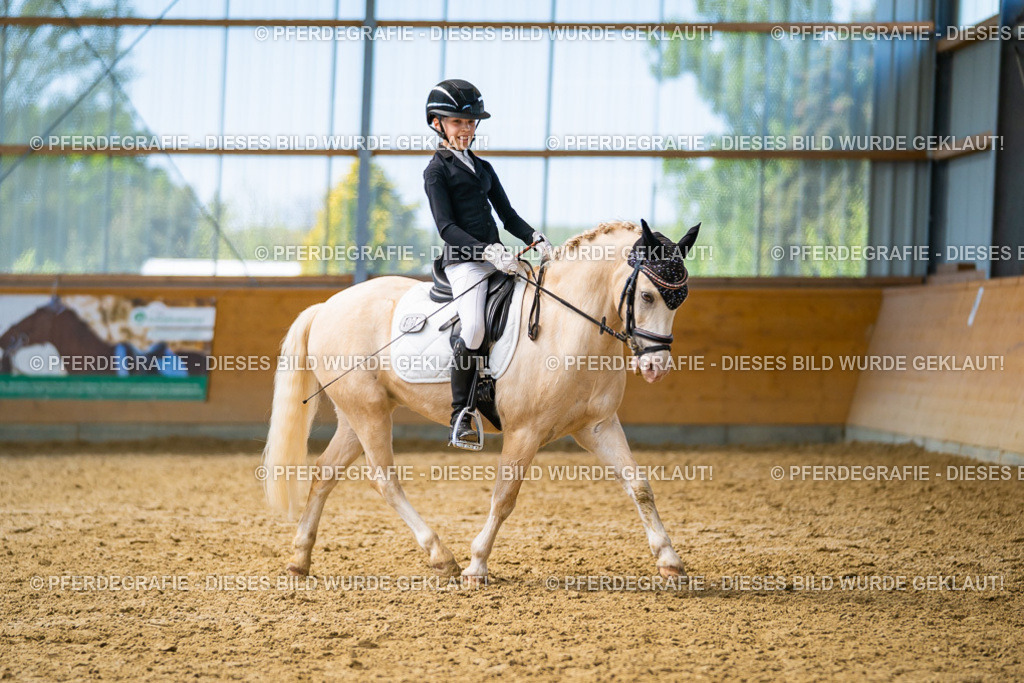 DSC09067 | Pferdegrafie