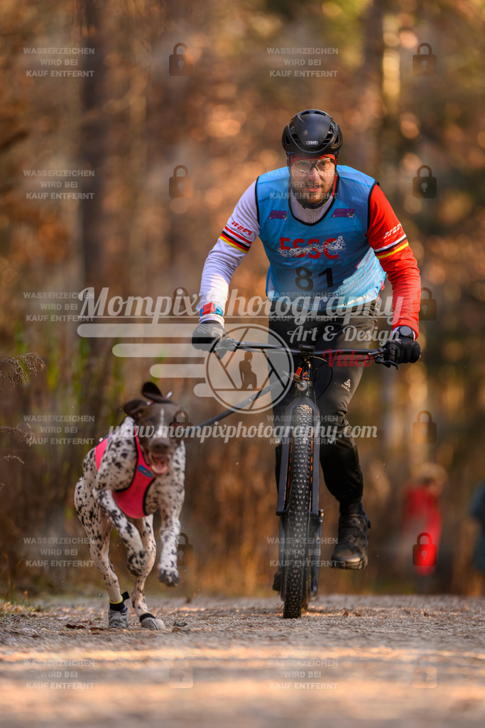 MompixPhotography_DM_AKDM_SO_2025_Scooter-135 | PayLife