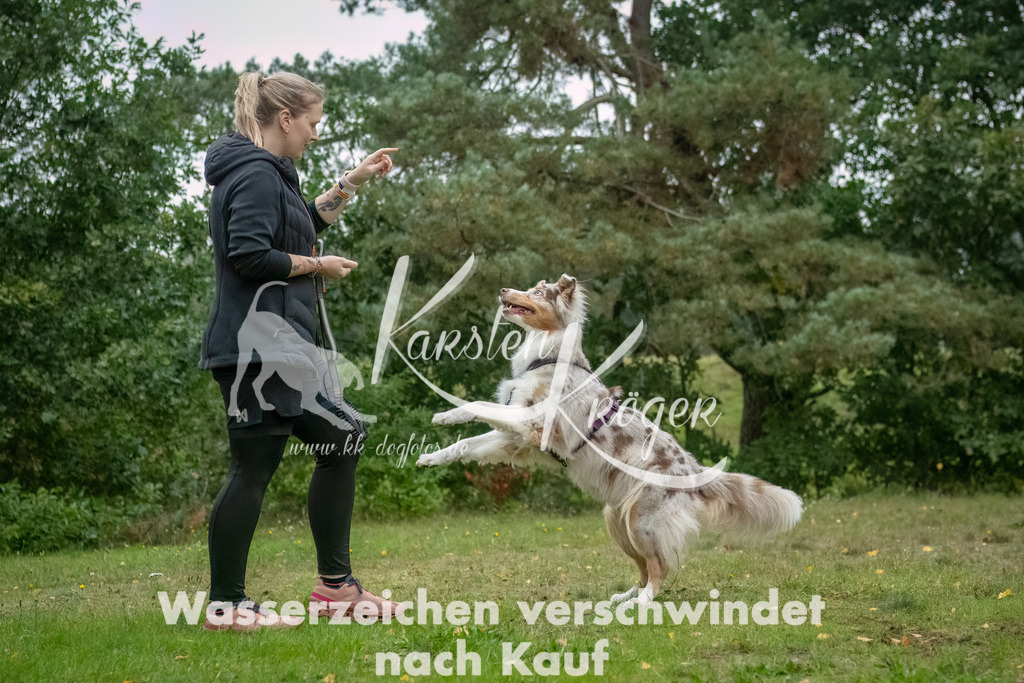 0925_ZZ90358-Bearbeitet | kk-dogfotos