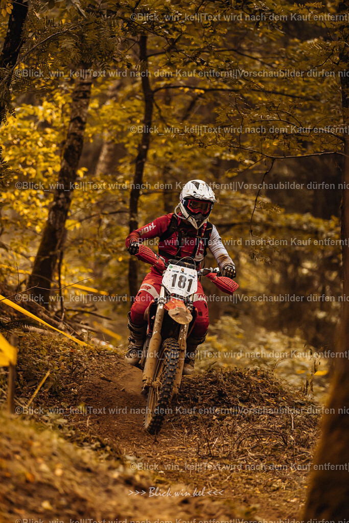 E68A3957 | blick_win_kel