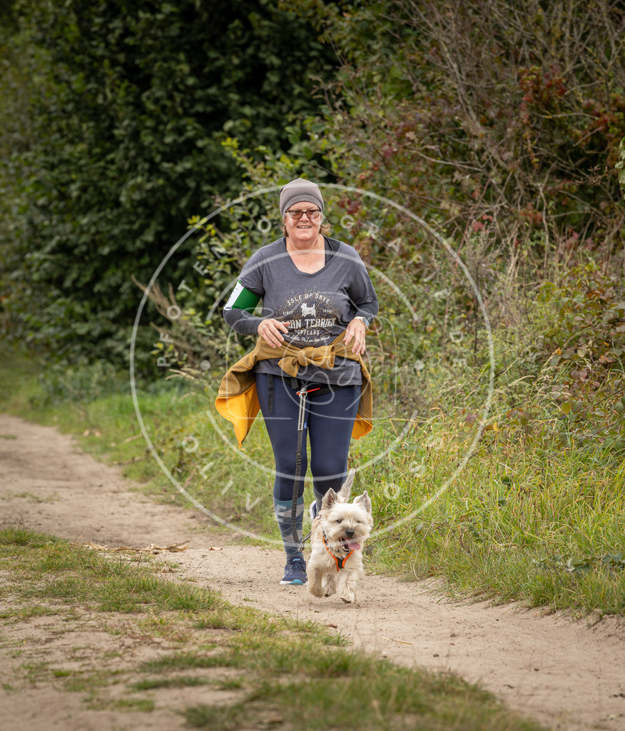 Pfotenfotografie_DV3A8519 | Hundefotografie, Tierfotograf, Pfotenfotografie, Fotoshooting Hund, Hunde Portrait, Hundesport, Hundeportraits, Heideshooting, Hunde, Sportfotograf, Hundefotograf, Turnierhundsport, THS,  - Realisiert mit Pictrs.com