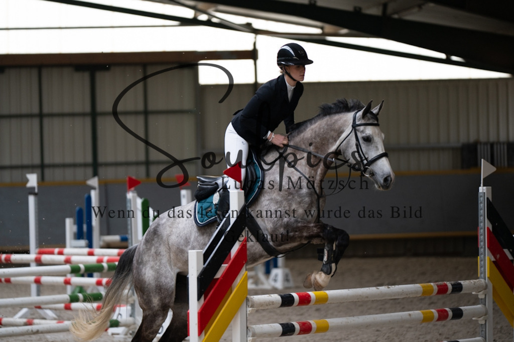 A7V07088 | Pferdefotograf