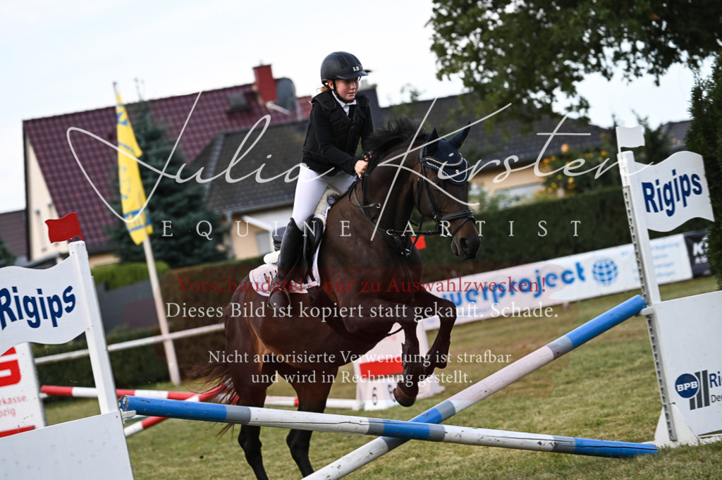 DSC_5574 | Pferde- und Turnierfotografie in Westsachsen. Pferdeportraits, Auftragszeichnungen und intuitive Kunst.