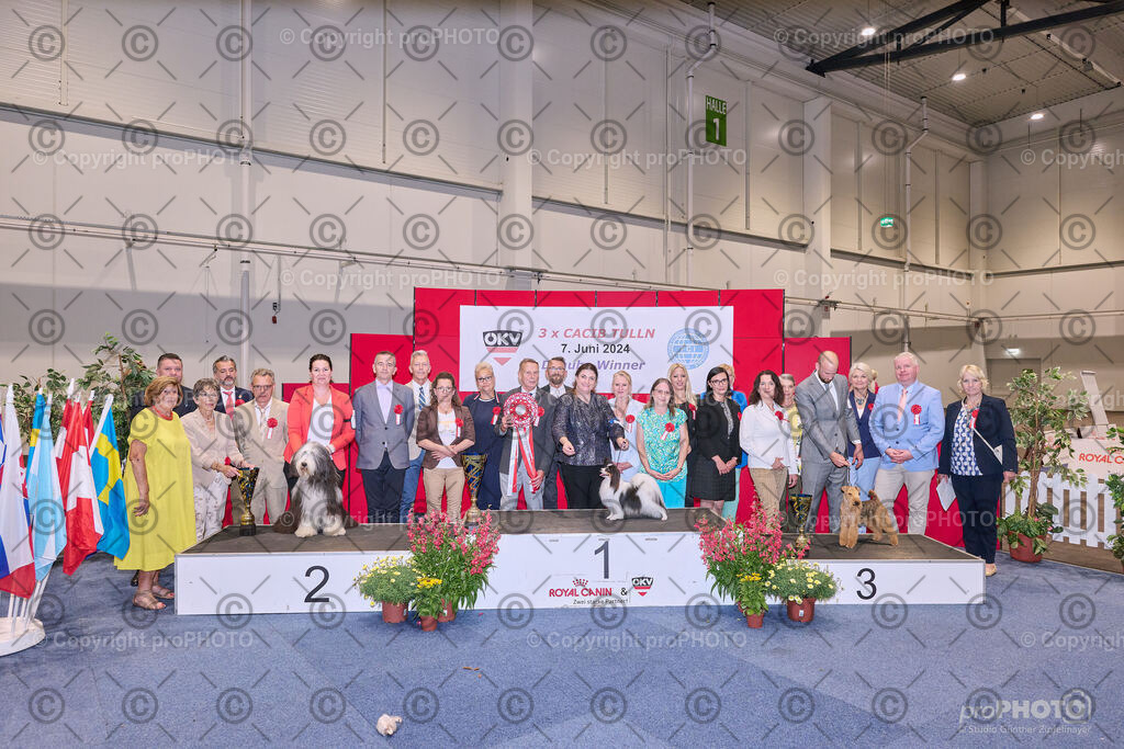 202406_ÖKV-IHA-Tulln24_NZ9_7915 | proPHOTO - Realisiert mit Pictrs.com