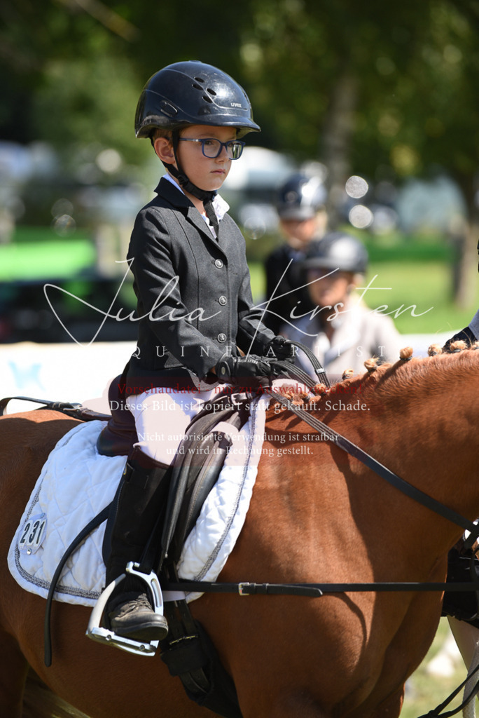 DSC_9674 | Pferde- und Turnierfotografie in Westsachsen. Pferdeportraits, Auftragszeichnungen und intuitive Kunst.