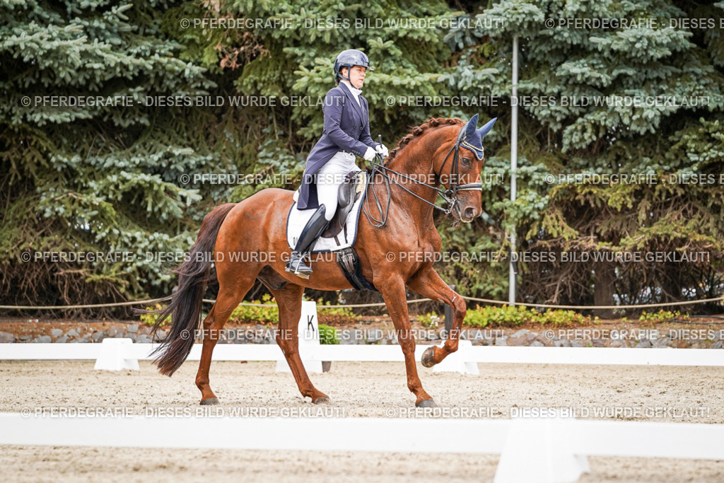 DSC05844 | Pferdegrafie